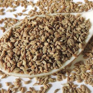 ajwain