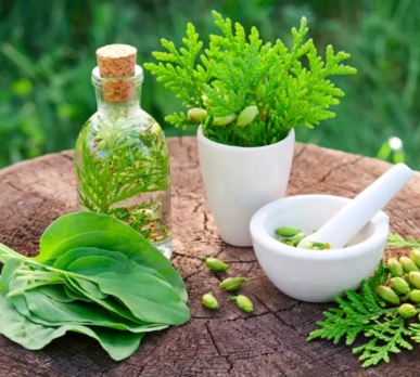 herbal-product-manufacturing-training-workshops