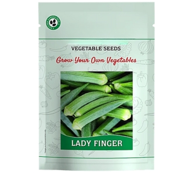 lady-finger-seeds