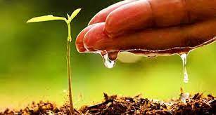 organic-farming-consultancy-services