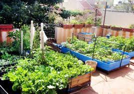 organic-terrace-kitchen-training-workshops