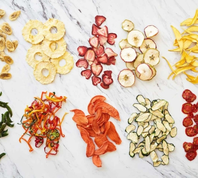 vegetable-dry-process-workshops